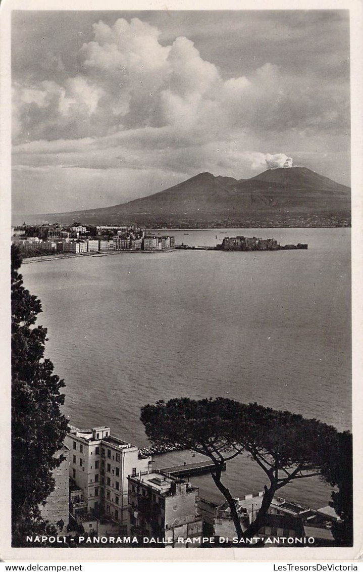 CPA - ITALIA - Napoli - Panorama Dalle Rampe Di Sant-Antonio - Napoli