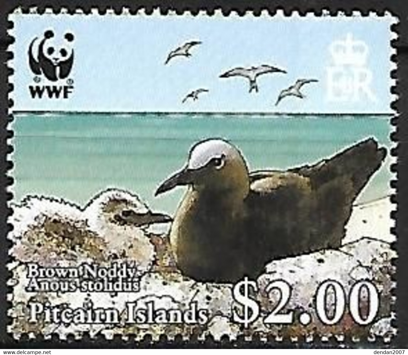 Pitcairn Islands - MNH ** 2007 :  Brown Noddy  -  Anous Stolidus - Mouettes