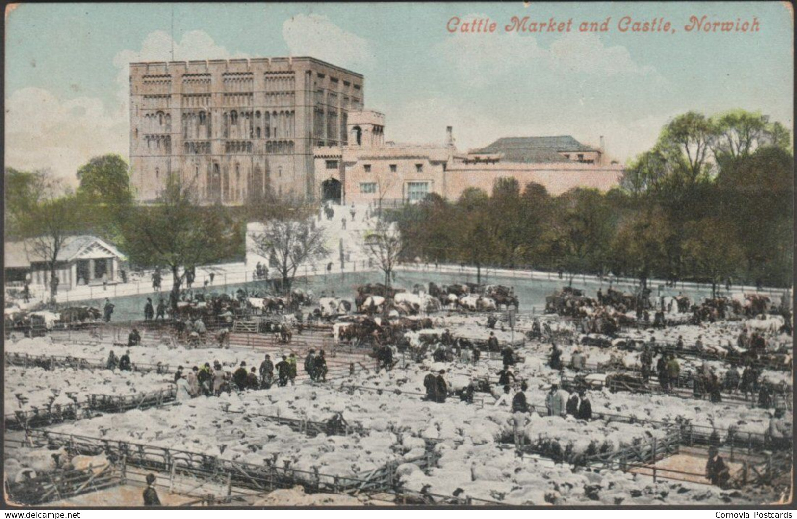 Cattle Market And Castle, Norwich, Norfolk, 1906 - Valentine's Postcard - Norwich