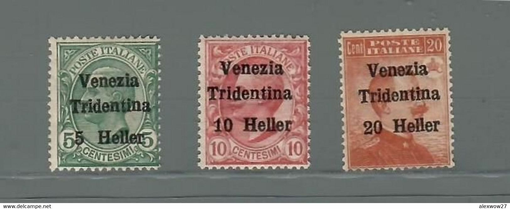 Italia 1918 TERRE REDENTE TRENTINO ALTO ADIGE ( Sass.28/30) **MNH - Trento