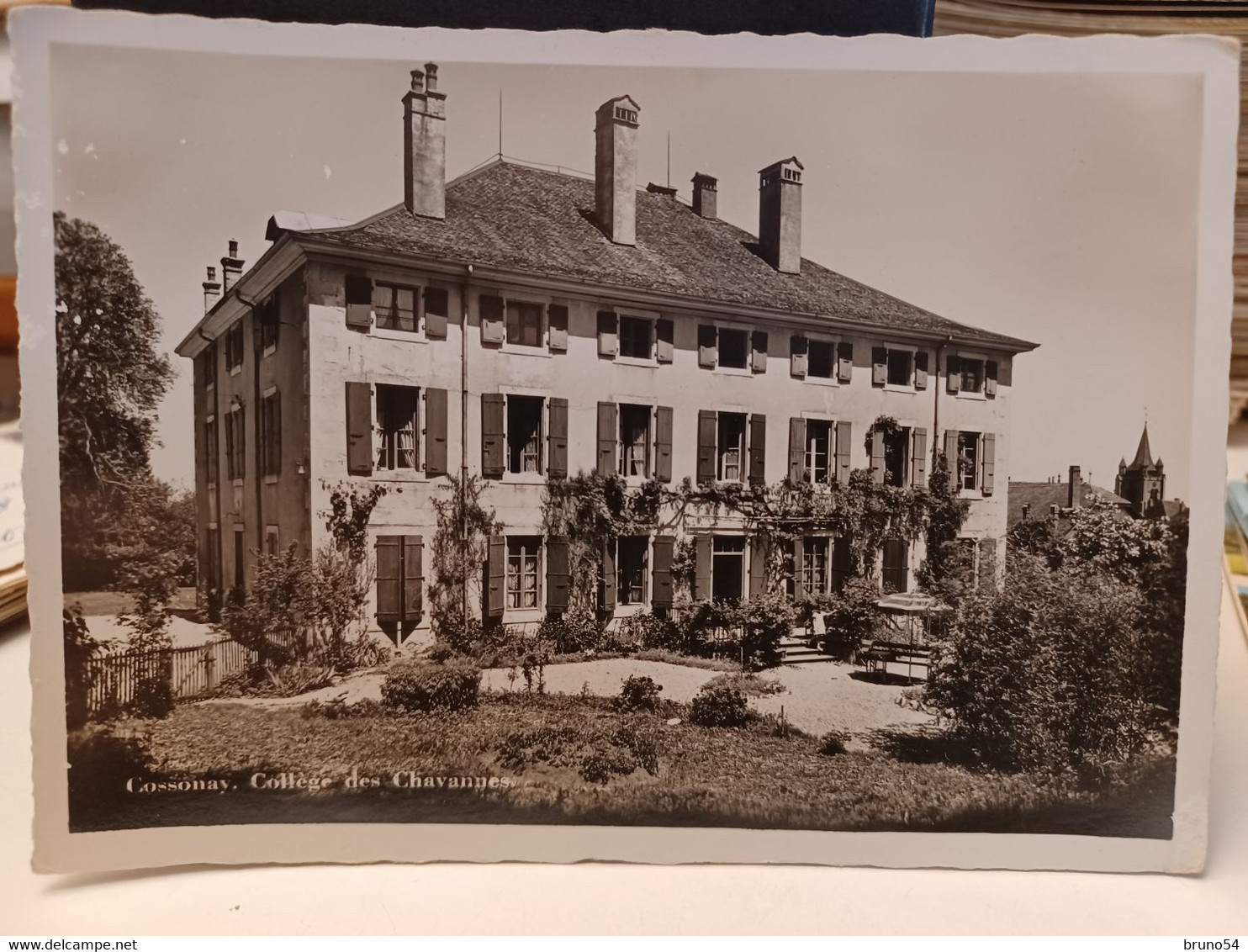 Cartolina Cossonay College Des Chavannes Svizzera 1964 - Cossonay