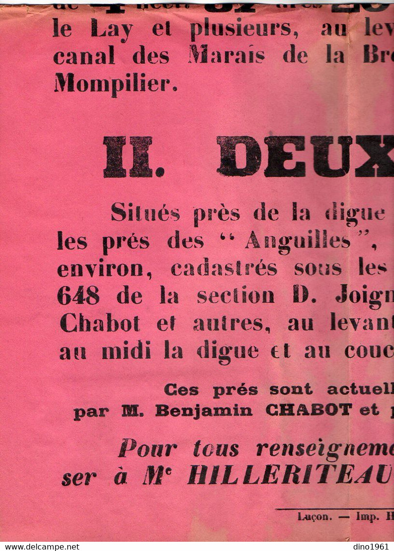 VP20.273 - Affiche - Me HILLERITEAU Notaire à LUCON - A Vendre 3 Prés Situés Commune De LA BRETONNIERE - Manifesti