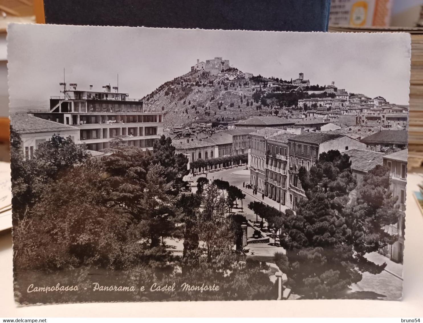 Cartolina Campobasso Panorama E Castel Monforte 1962 - Campobasso