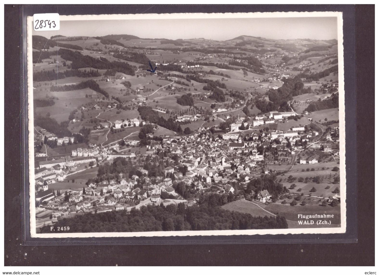 GRÖSSE 10x15cm - WALD - FLUGAUFNAHME - VUE AERIENNE - TB - Wald