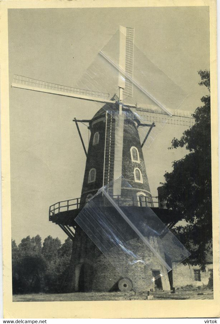 Sint-Pauwels :  Windmolen      (( 15 X 10.5 Cm ) - Sint-Gillis-Waas