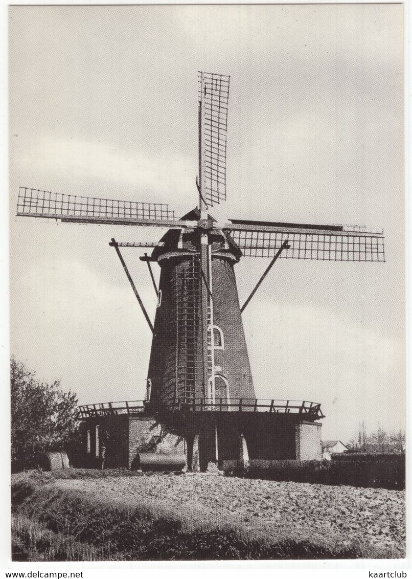 St. Maartensdijk - Molen 'de Hoop' - (Zeeland, Nederland/Holland) - Moulin/Mill/Mühle - Tholen