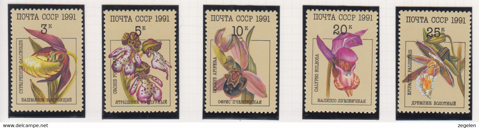 Sowjet-Unie USSR Jaar 1991 Michel-nr. 6192/6196 ** - Sonstige & Ohne Zuordnung