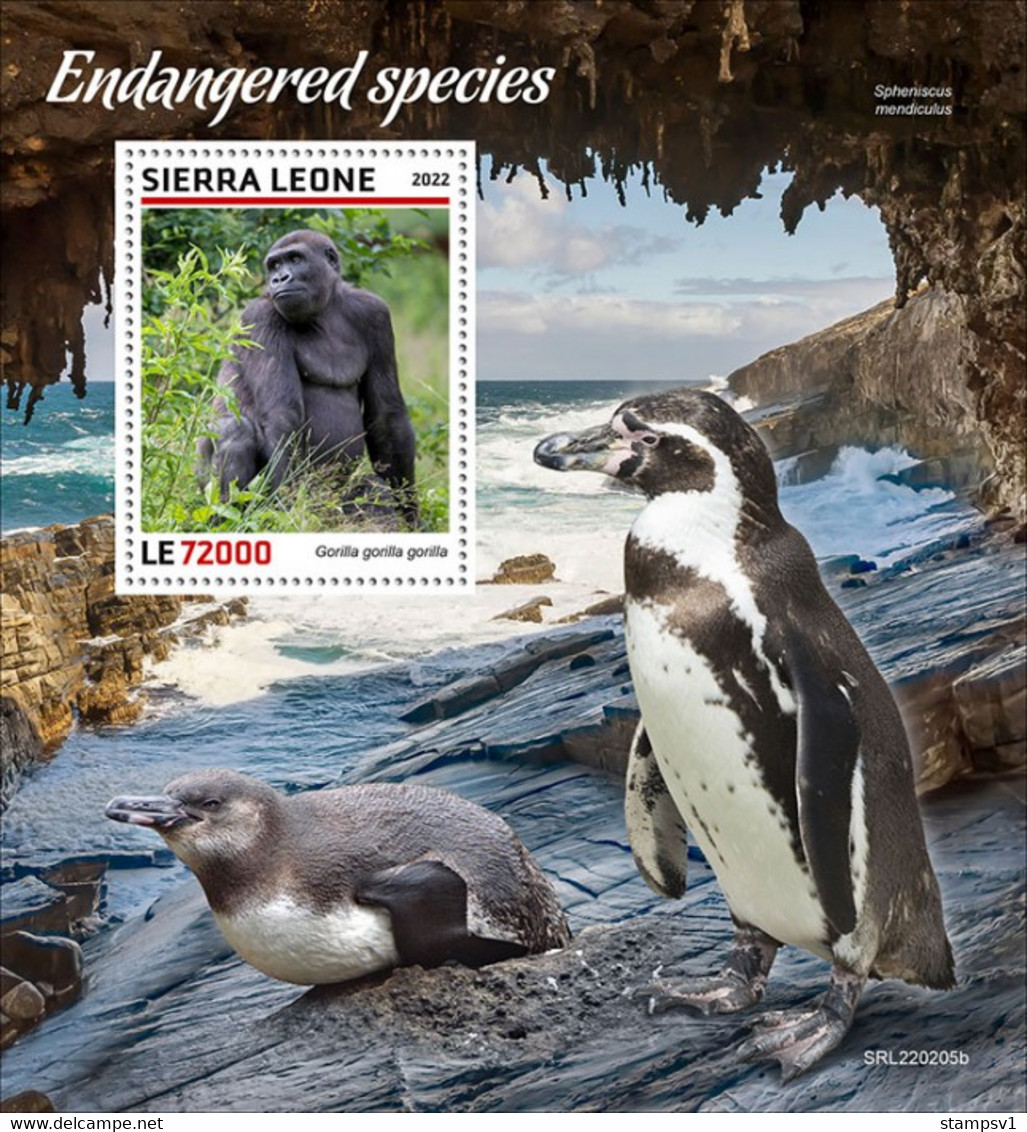 Sierra Leone  2022 Endangered Species. Gorila.  (205b) OFFICIAL ISSUE - Gorilles