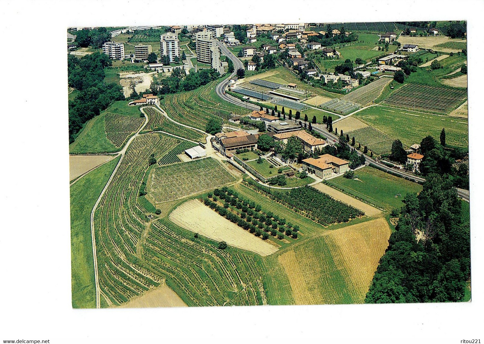 Cpm - Suisse -  Istituto Agrario Cantonale Mezzana-Balerna - Société Agricole Cantonale - Serre - Terrain Football - - Agra