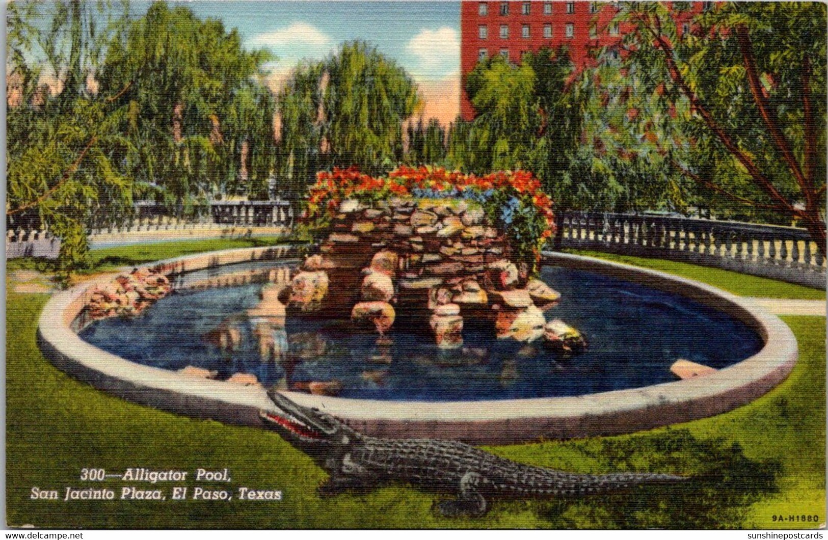 Texas El Paso San Jacinto Plaza Alligator Pool Curteich - El Paso