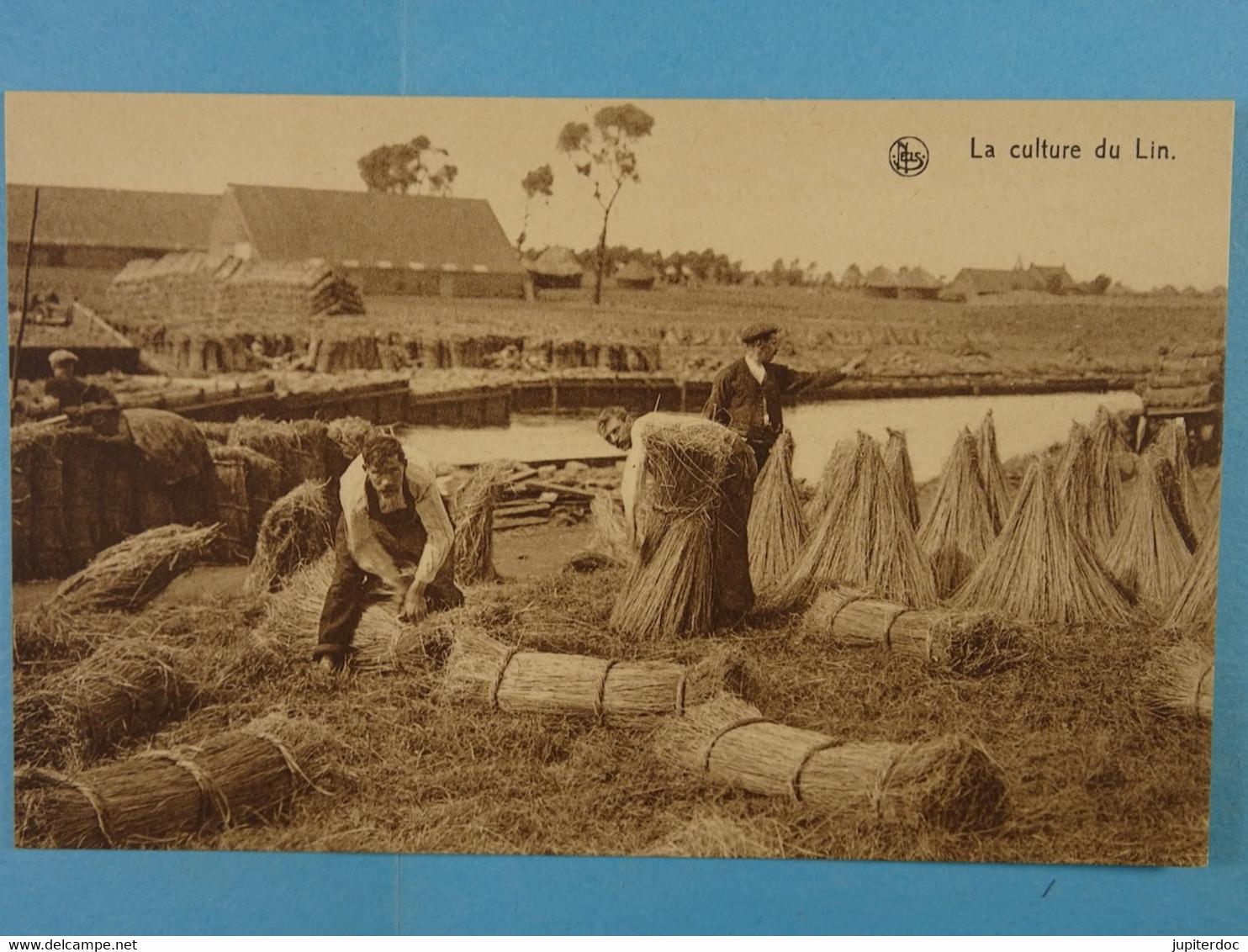 La Culture Du Lin On Forme Les Bottes Avant Le Rouissage - Farmers