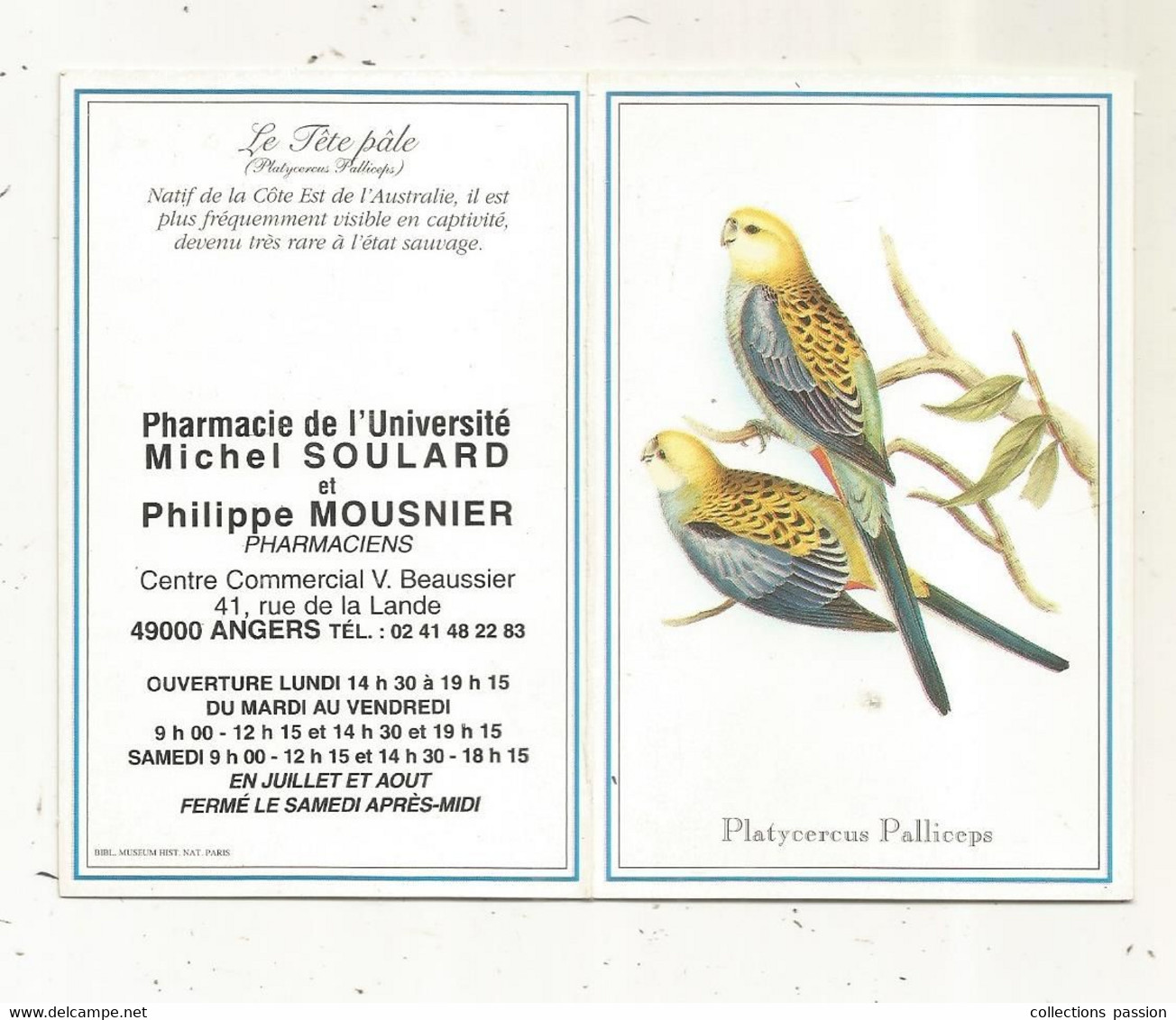 CALENDRIER, Petit Format, 1998 , Pharmacie De L'UNIVERSITE, 49 , ANGERS, Oiseaux - Petit Format : 1991-00