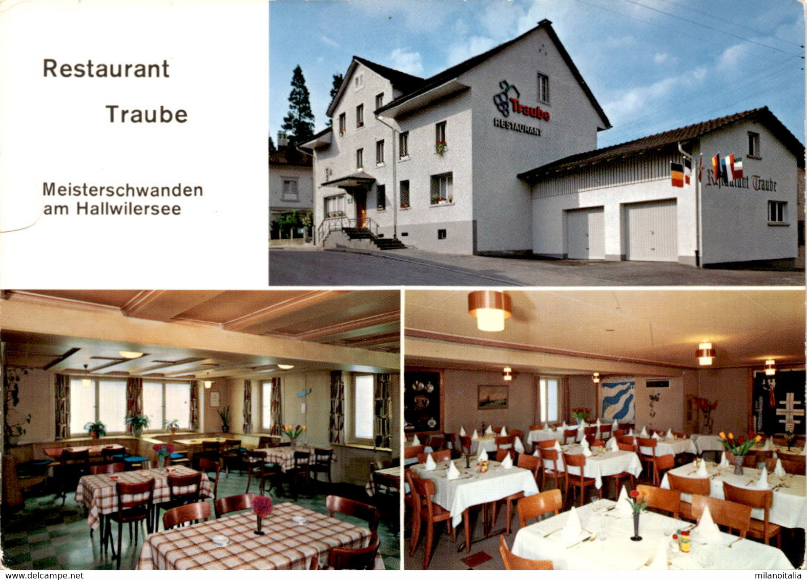 Restaurant Traube - Meisterschwanden Am Hallwilersee - 3 Bilder (5049) - Werbekarte - Meisterschwanden