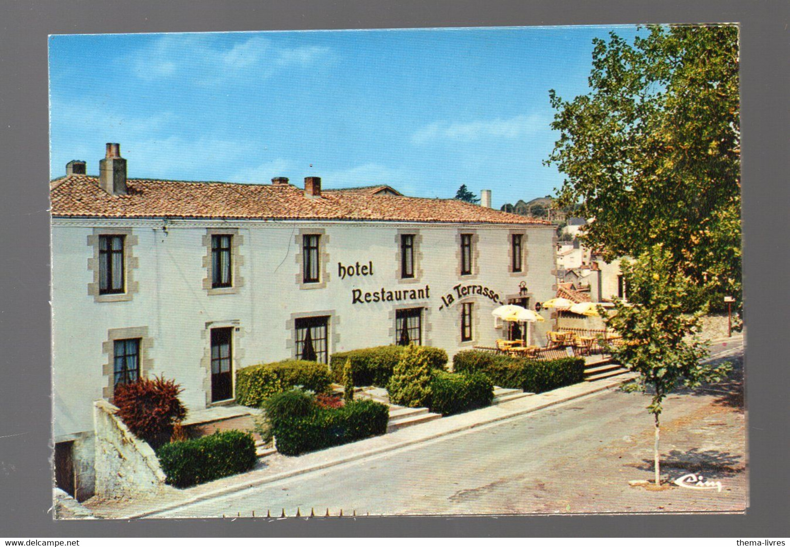 Mauléon  (79 Deux Sèvres) CPM Hotel De La Terrasse  (PPP38285) - Mauleon