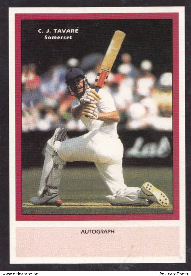 CJ Tavare Somerset RARE Limited Edition Vintage Cricket Trading Photo Card - Cricket