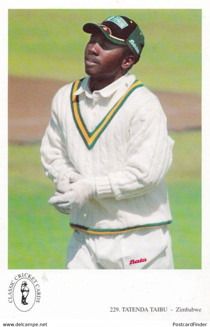 Tatenda Taibu Zimbabwe Team Cricketer Cricket Rare Postcard - Cricket