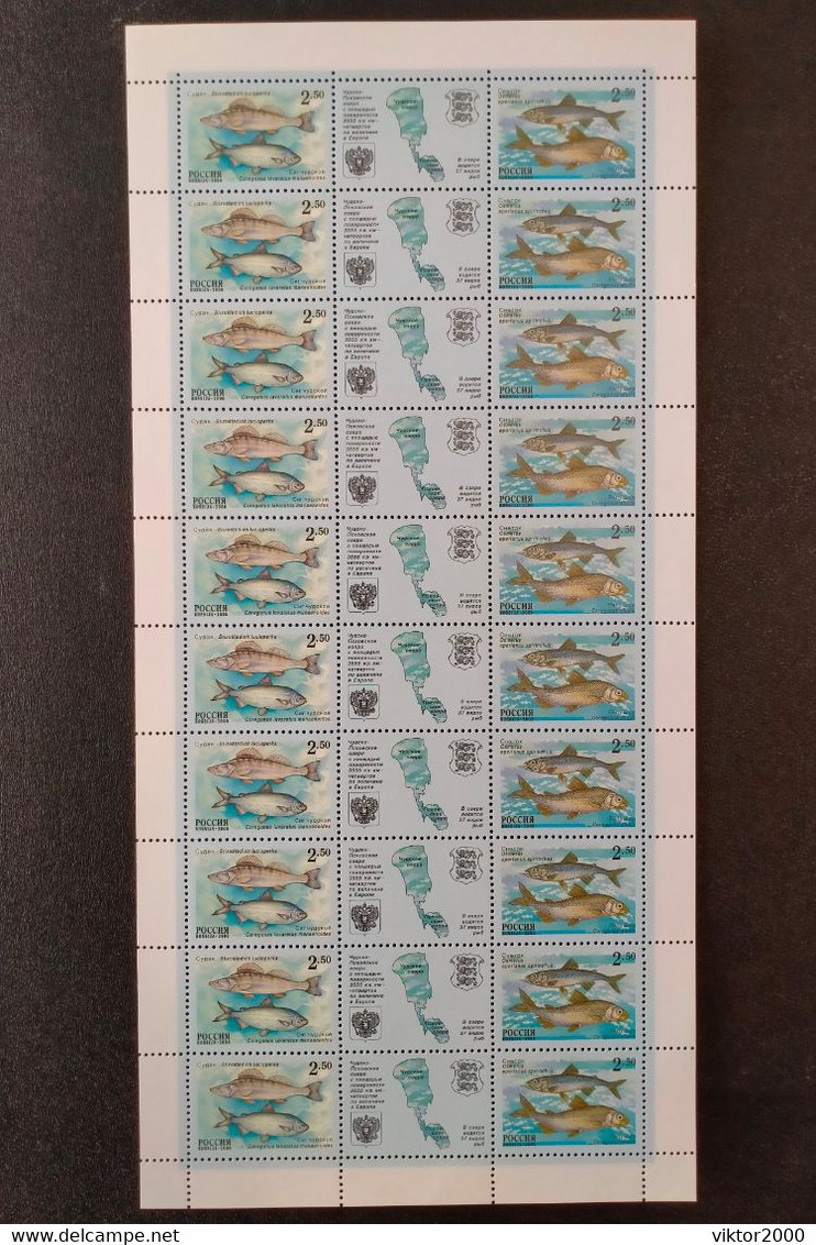 RUSSIA  MNH (**) 2000 Fish Of Chudsko-Pskovskoye Lake  Mi861-862  , Yvert 6509-6510 - Fogli Completi