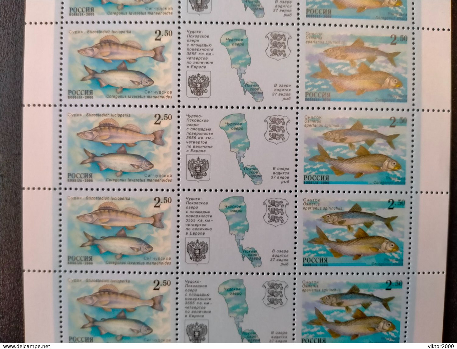 RUSSIA  MNH (**) 2000 Fish Of Chudsko-Pskovskoye Lake  Mi861-862  , Yvert 6509-6510 - Fogli Completi