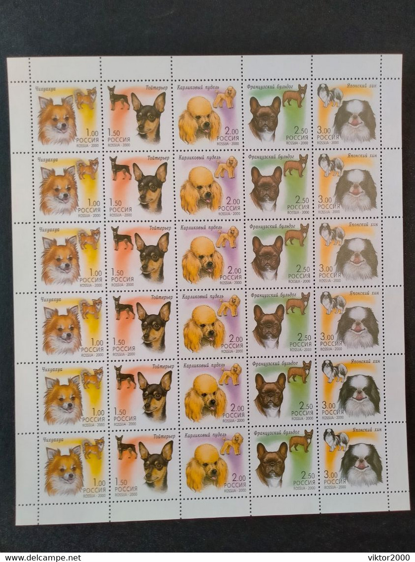 RUSSIA  MNH (**)2000 Decorative Dogs  Mi837-841 , Yvert 6485-6489 - Full Sheets