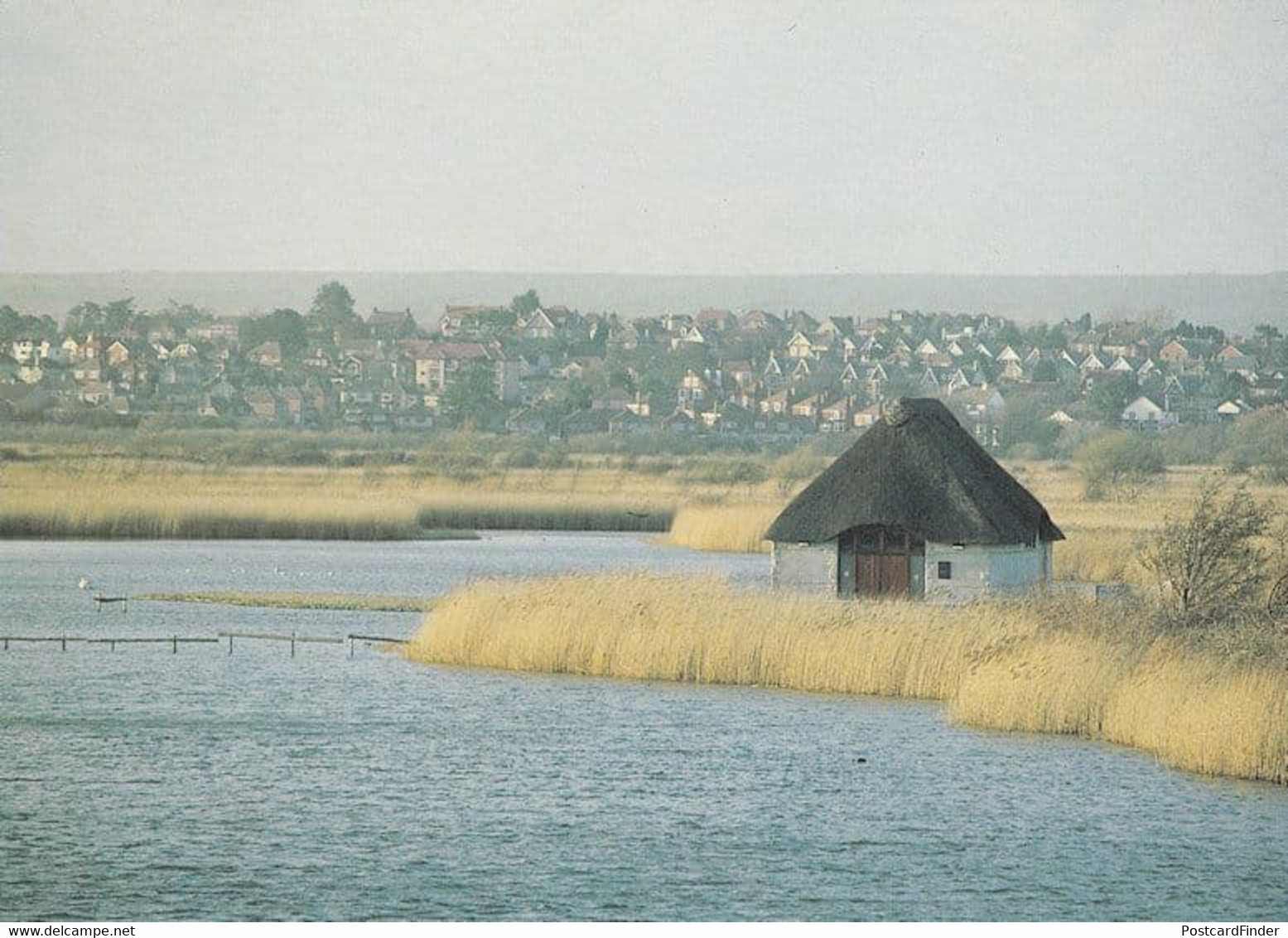 RSPB Radipole Lake Reserve Bedfordshire Postcard - Other & Unclassified