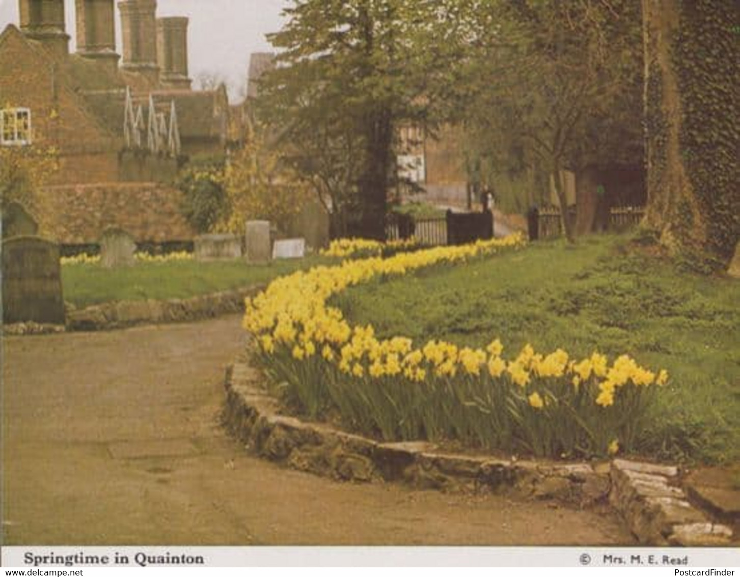 Quainton Buckinghamshire Spring Daffodils Womens Institute Postcard - Buckinghamshire