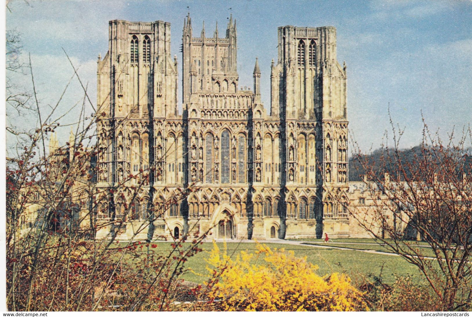 Postcard Wells Cathedral Somerset My Ref B25491 - Wells