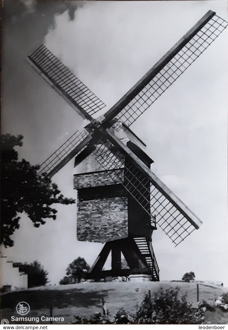 Onze Lieve Vrouw Lombeek - Windmolen - 3 - Roosdaal