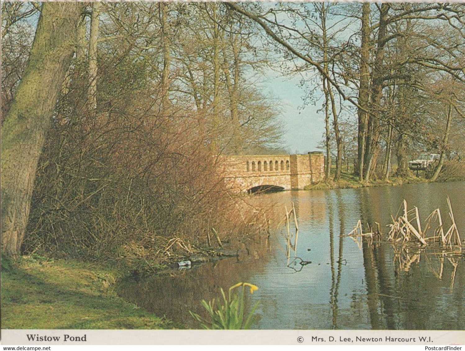 Wistow Pond Leicester Postcard - Sonstige & Ohne Zuordnung