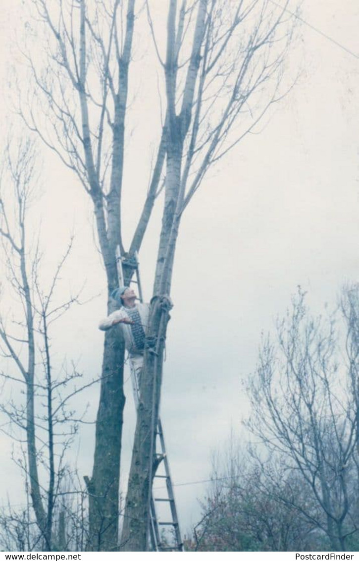 Tree Surgeon Repair Man Cutting Down Trees Keyworth Nottingham Village Postcard - Other & Unclassified