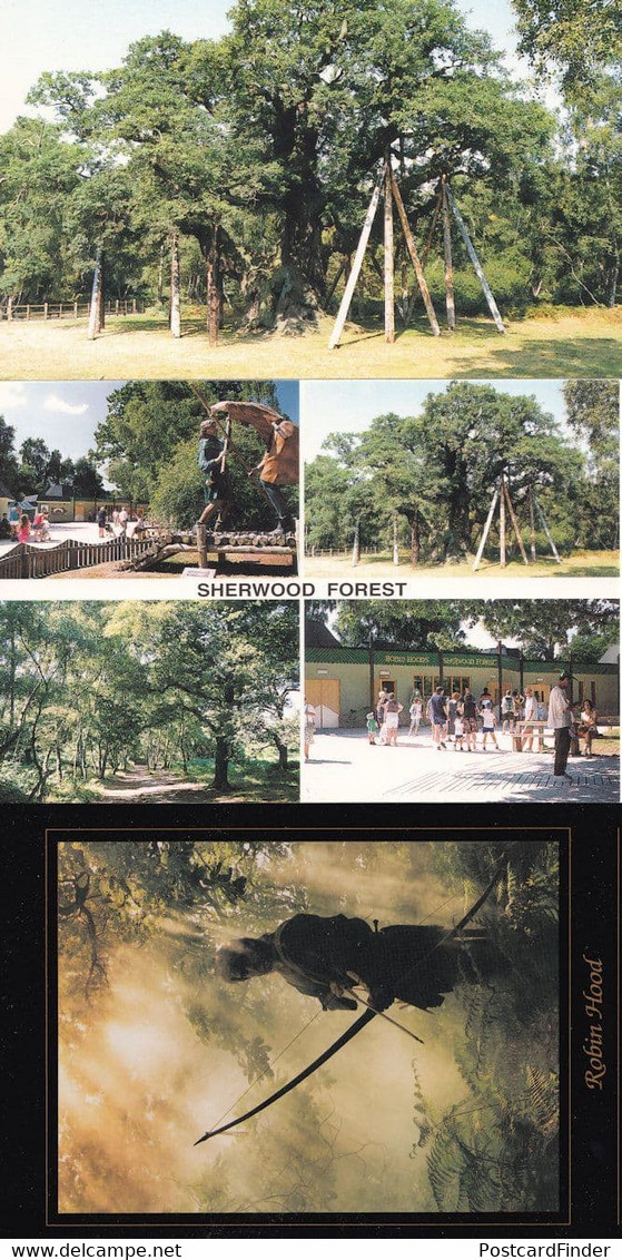 Sherwood Forest Visitors Centre Robin Hood 3x Postcard S - Other & Unclassified