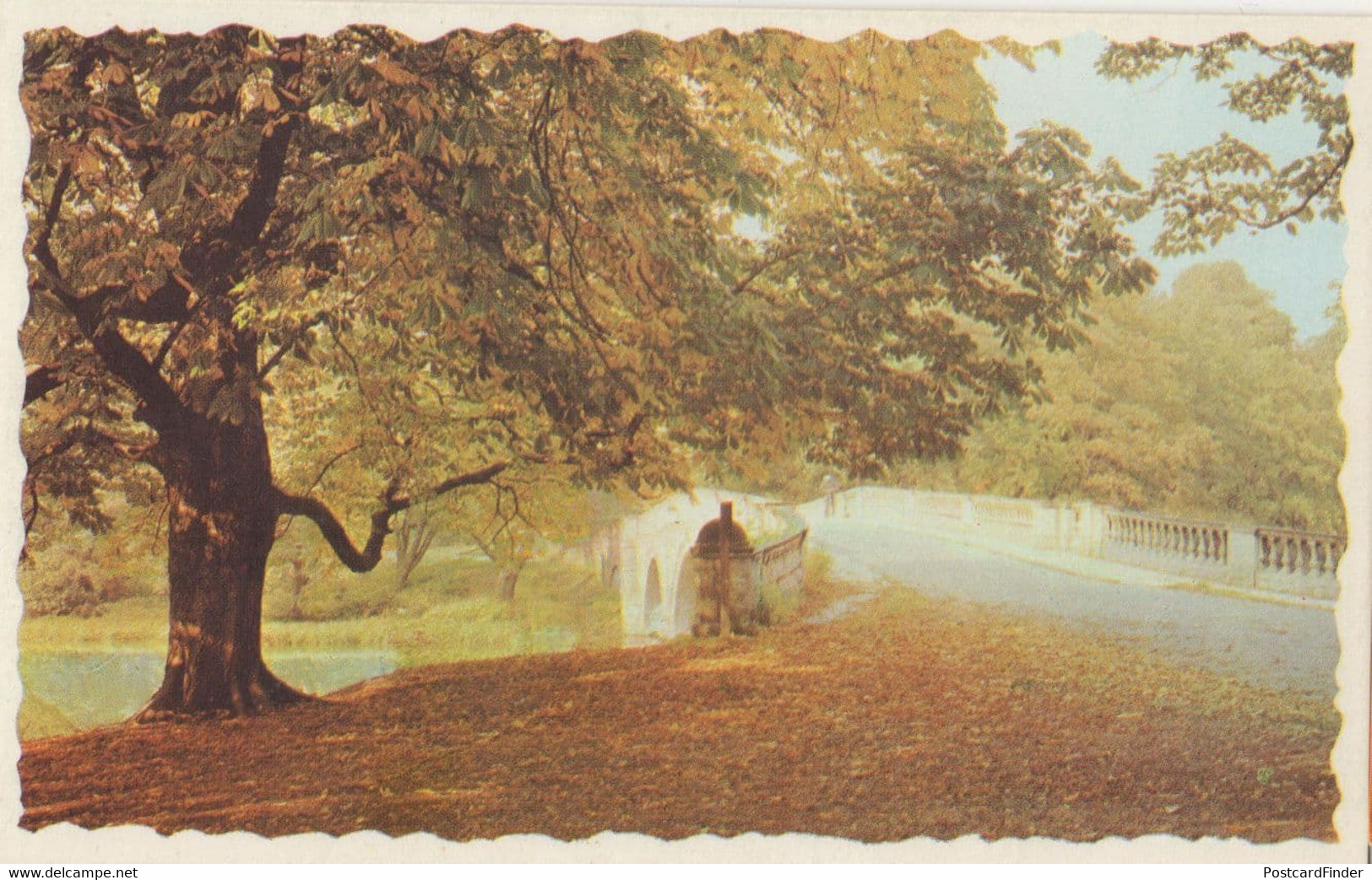 Autumn Leaves At Clumber Park Nottingham Mansfield Postcard - Other & Unclassified