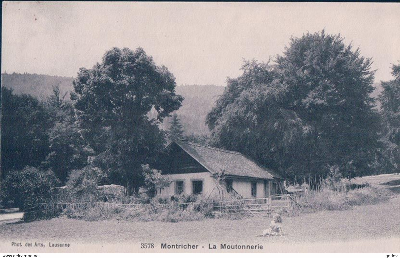 Montricher VD, La Moutonnerie (3578) - Montricher