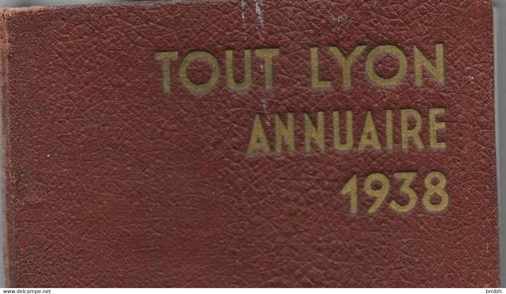 TOUT-LYON - ANNUAIRE  De La HAUTE SOCIÉTÉ De La Région Lyonnaise 1938 - Telephone Directories