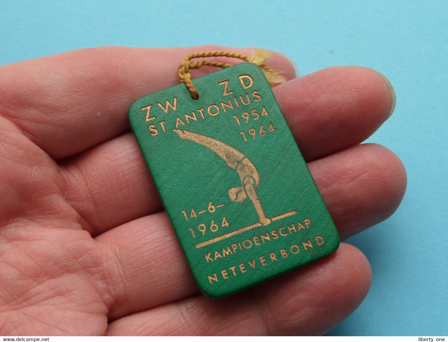 ZW ZD St. ANTONIUS 1954-1964 ( 14-6-1964 ) Kampioenschap NETEVERBOND ( Plaatje In Plastiek > Zie Foto's ) - Gymnastique