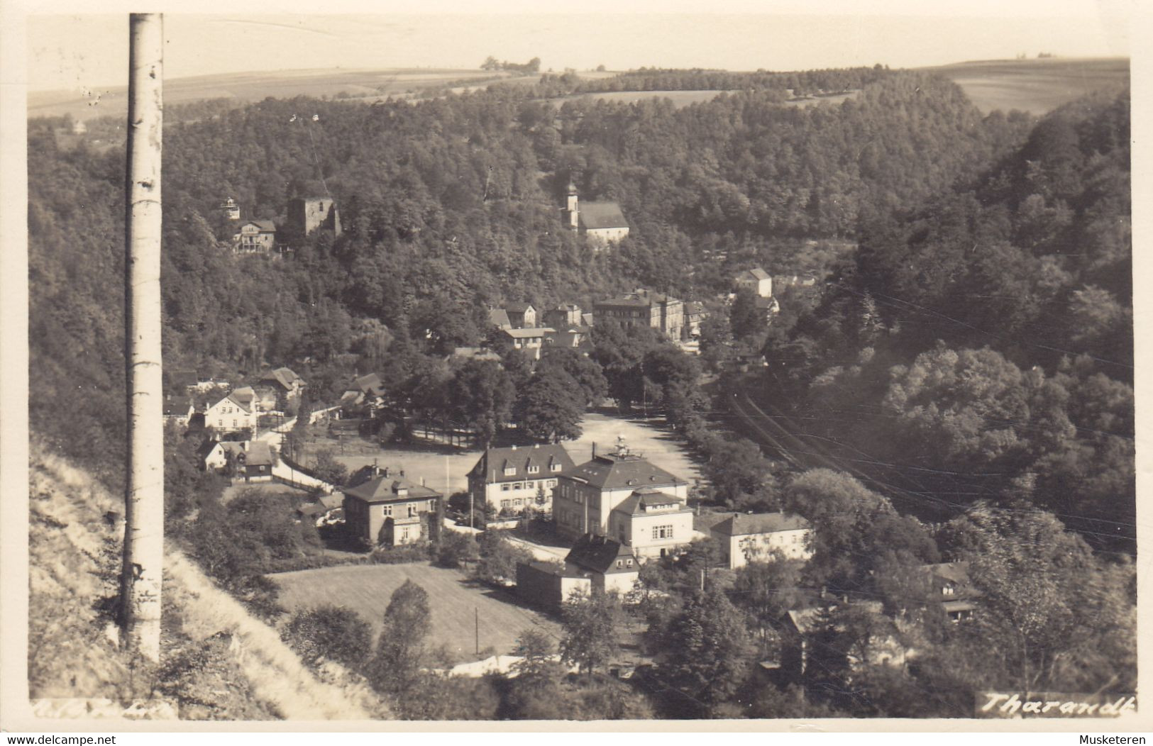 Deutsches Reich PPC Tharandt Slogan 'Reichsmesse' DRESDEN 1941 WIEN Austria Echte Real Photo Véritable (2 Scans) - Tharandt