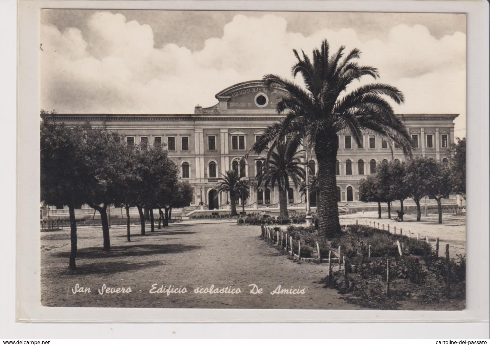 SAN SEVERO  FOGGIA  EDIFICIO SCOLASTICO DE AMICIS  VG - San Severo