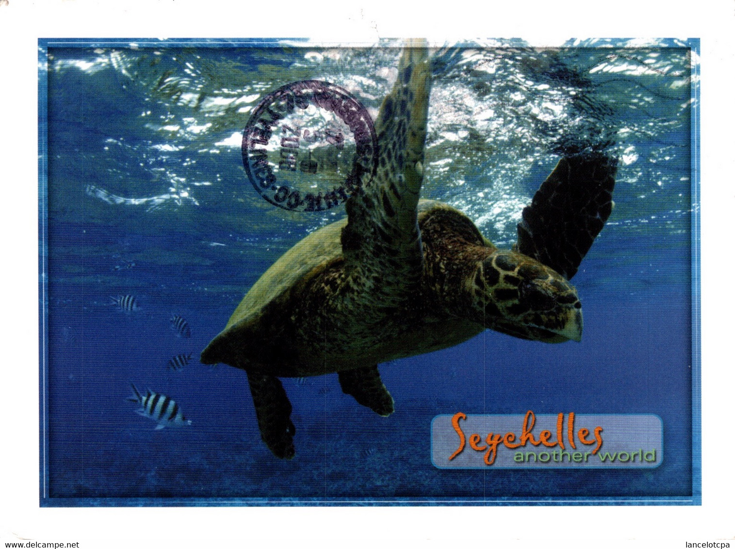 SEYCHELLES / TORTUE (avec BELLE PHILATELIE POISSON) - Seychelles