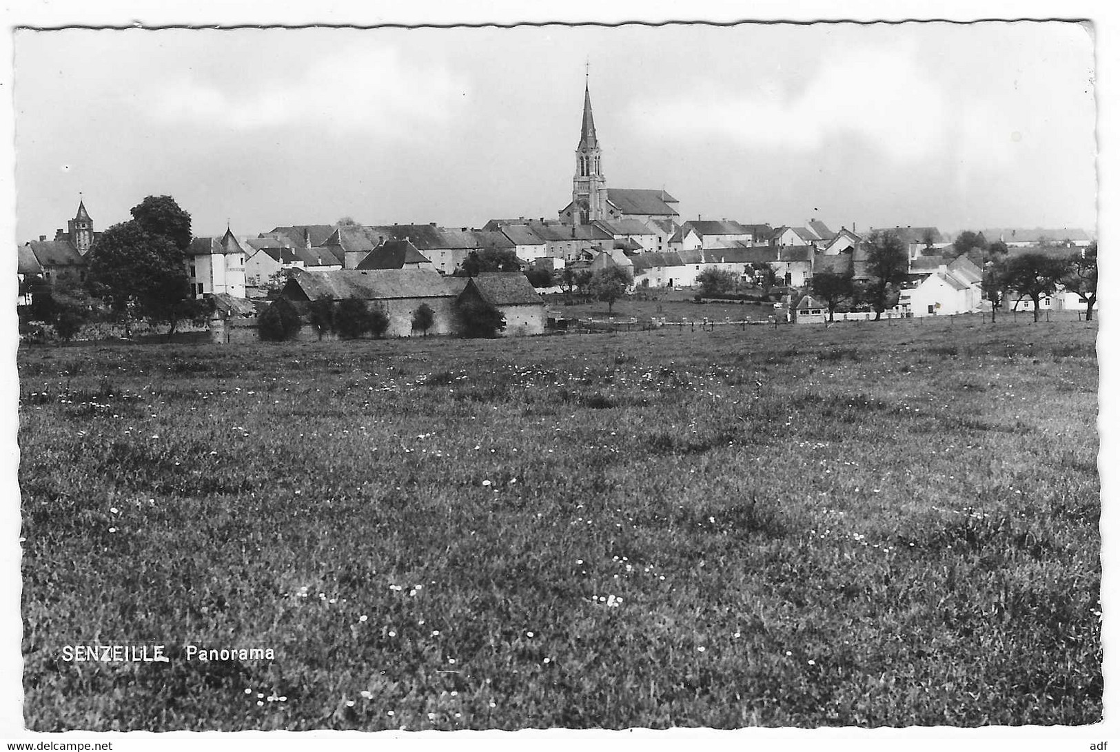 CPSM SENZEILLE, SENZEILLES, PANORAMA, Format 9 Cm Sur 14 Cm Environ, CERFONTAINE, BELGIQUE - Cerfontaine