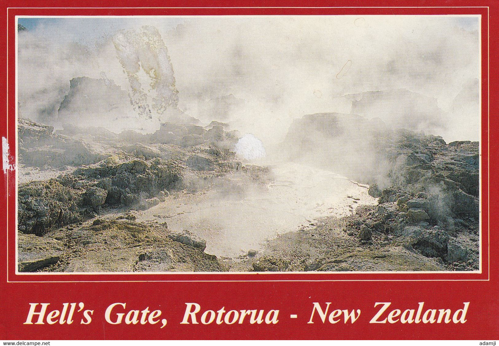 NEW ZEALAND.2003 NATURE POSTCARD TO DENMARK. - Briefe U. Dokumente