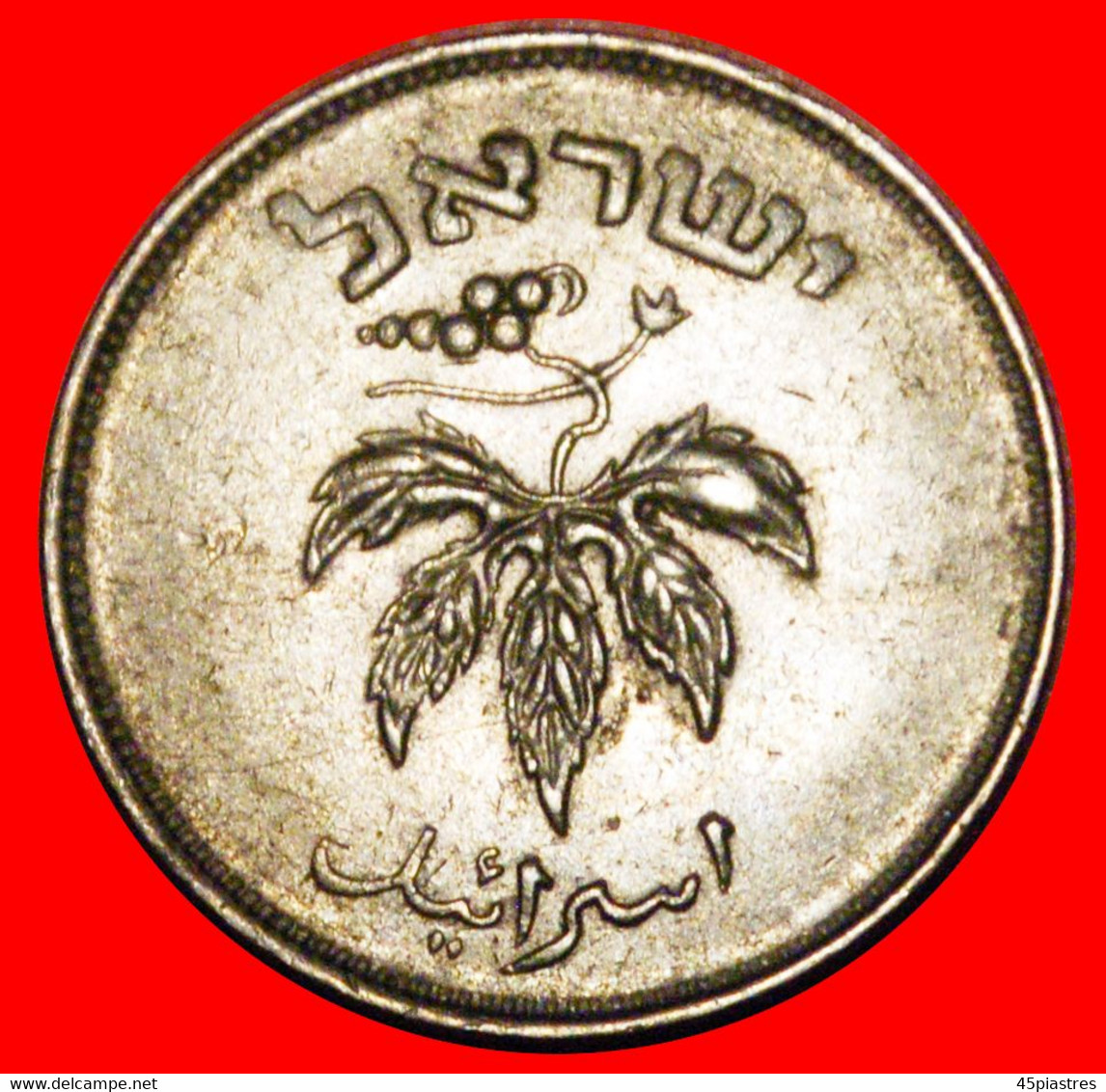 * GRAPE (1949-1954): PALESTINE (israel) ★ 50 PRUTA 5714 (1954) NON-MAGNETIC!★LOW START★ NO RESERVE! - Autres – Asie