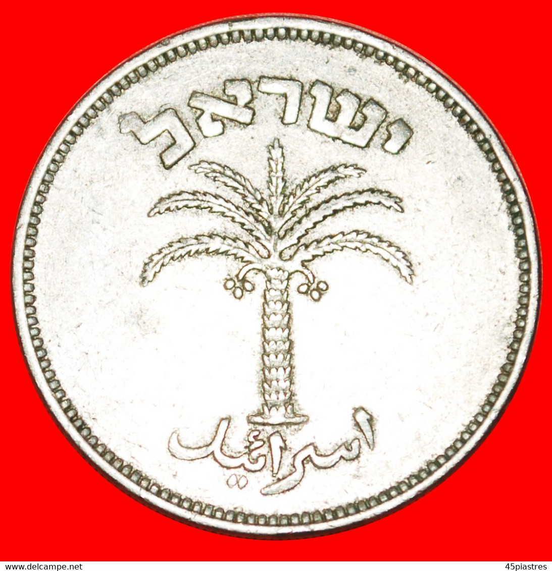 * PALMTREE (1949-1955): PALESTINE (israel) ★ 100 PRUTA 5715 (1955)!★LOW START★ NO RESERVE! - Other - Asia