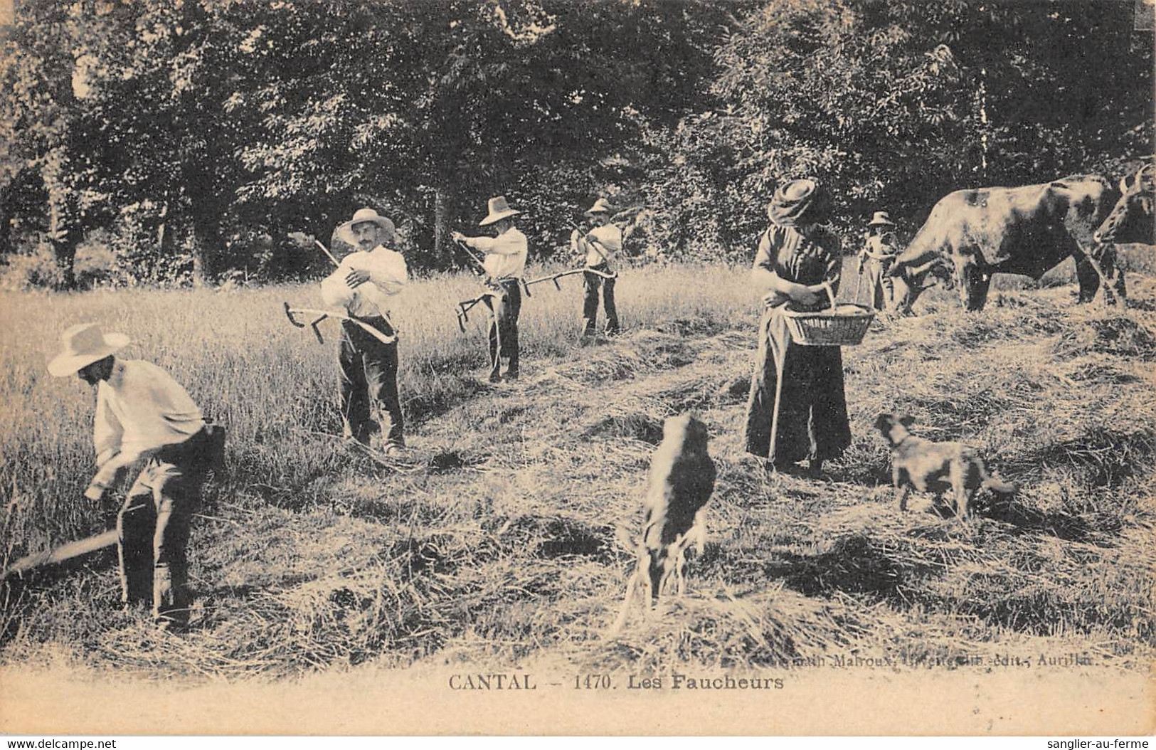 CPA 15 CANTAL LES FAUCHEURS / AGRICULTURE - Autres & Non Classés