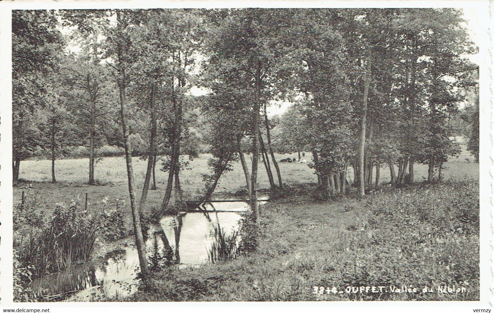 CPSM  OUFFET : Vallée Du Néblon - Ouffet