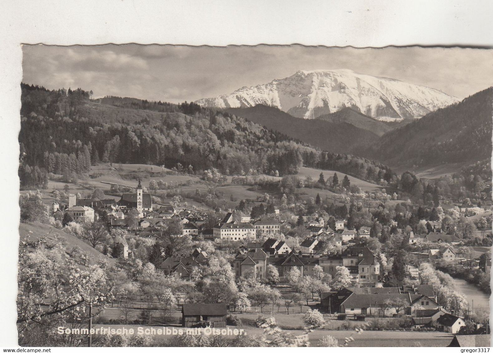 B5227) SCHEIBBS Mit Oetscher -  Tolle Haus DETAILS Im Vordergrund U. Kirche U. Berge Im Hintergrund ALT - Scheibbs