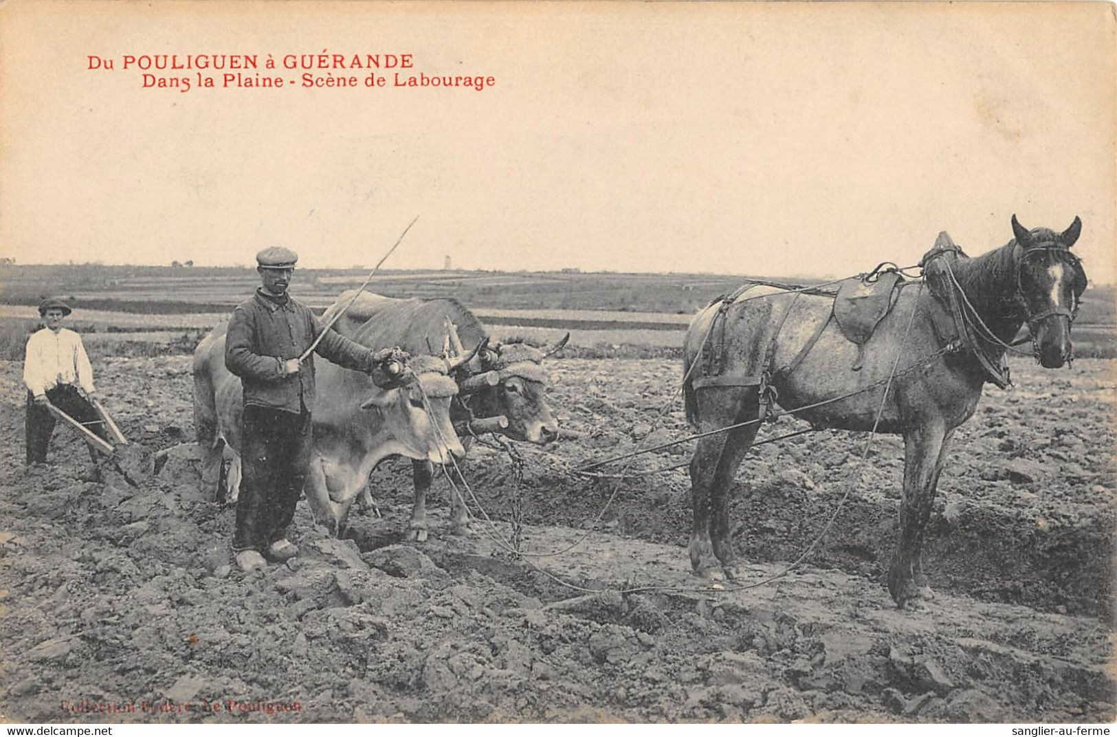 CPA 44 DU POULIGUEN A GUERANDE DANS LA PLAINE SCENE DE LABOURAGE - Other & Unclassified