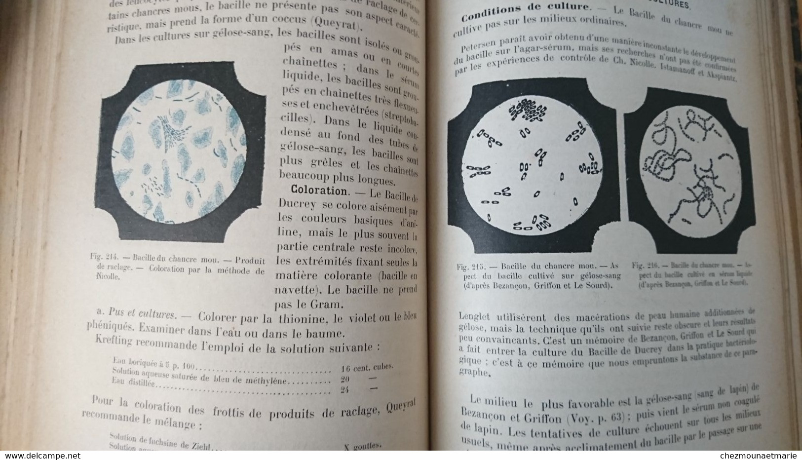 1904 BESSON TECHNIQUE MICROBIOLOGIQUE ET SEROTHERAPIQUE GUIDE MEDECIN ET VETERINAIRE - LIVRE - 1901-1940