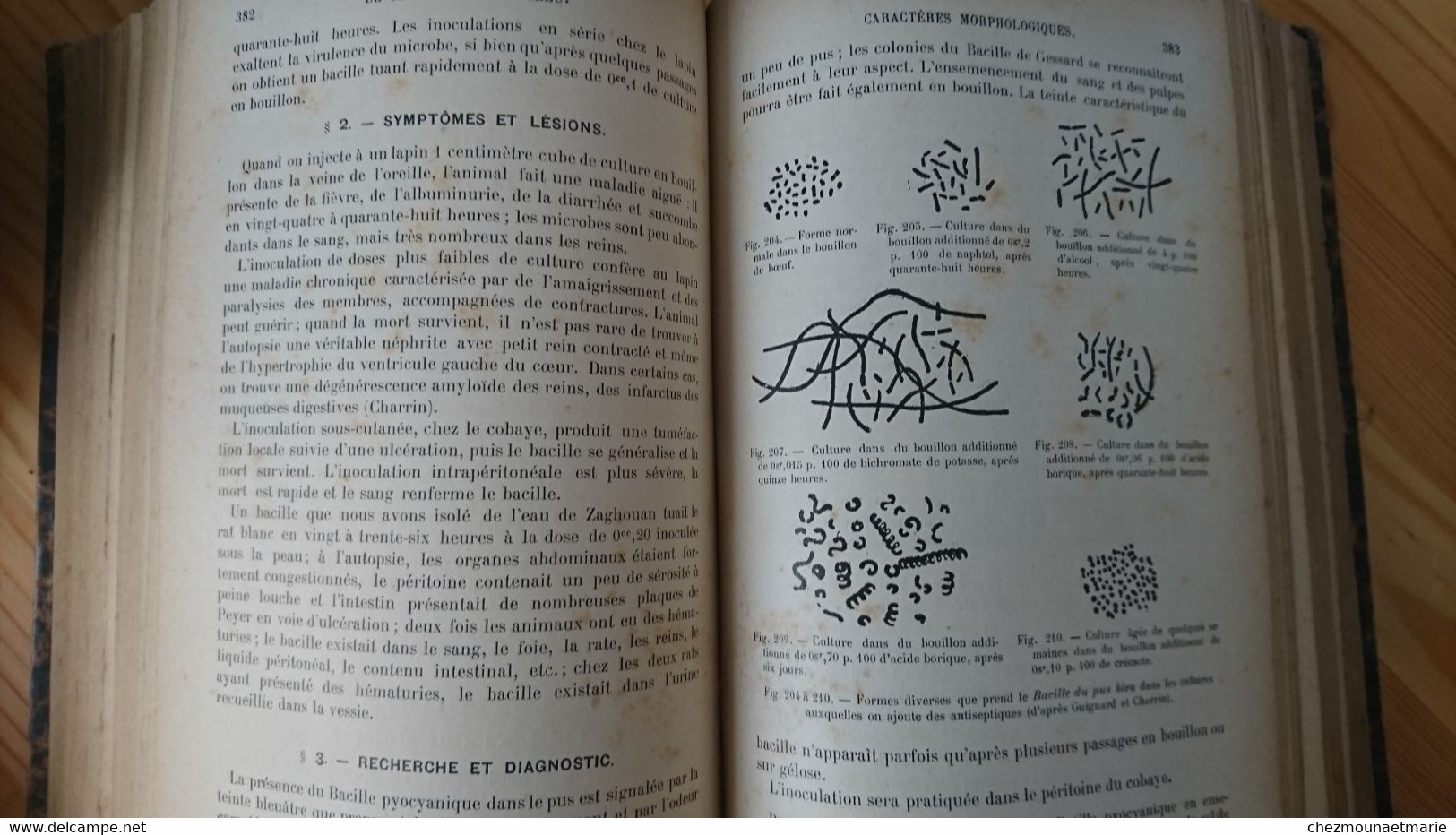 1904 BESSON TECHNIQUE MICROBIOLOGIQUE ET SEROTHERAPIQUE GUIDE MEDECIN ET VETERINAIRE - LIVRE - 1901-1940