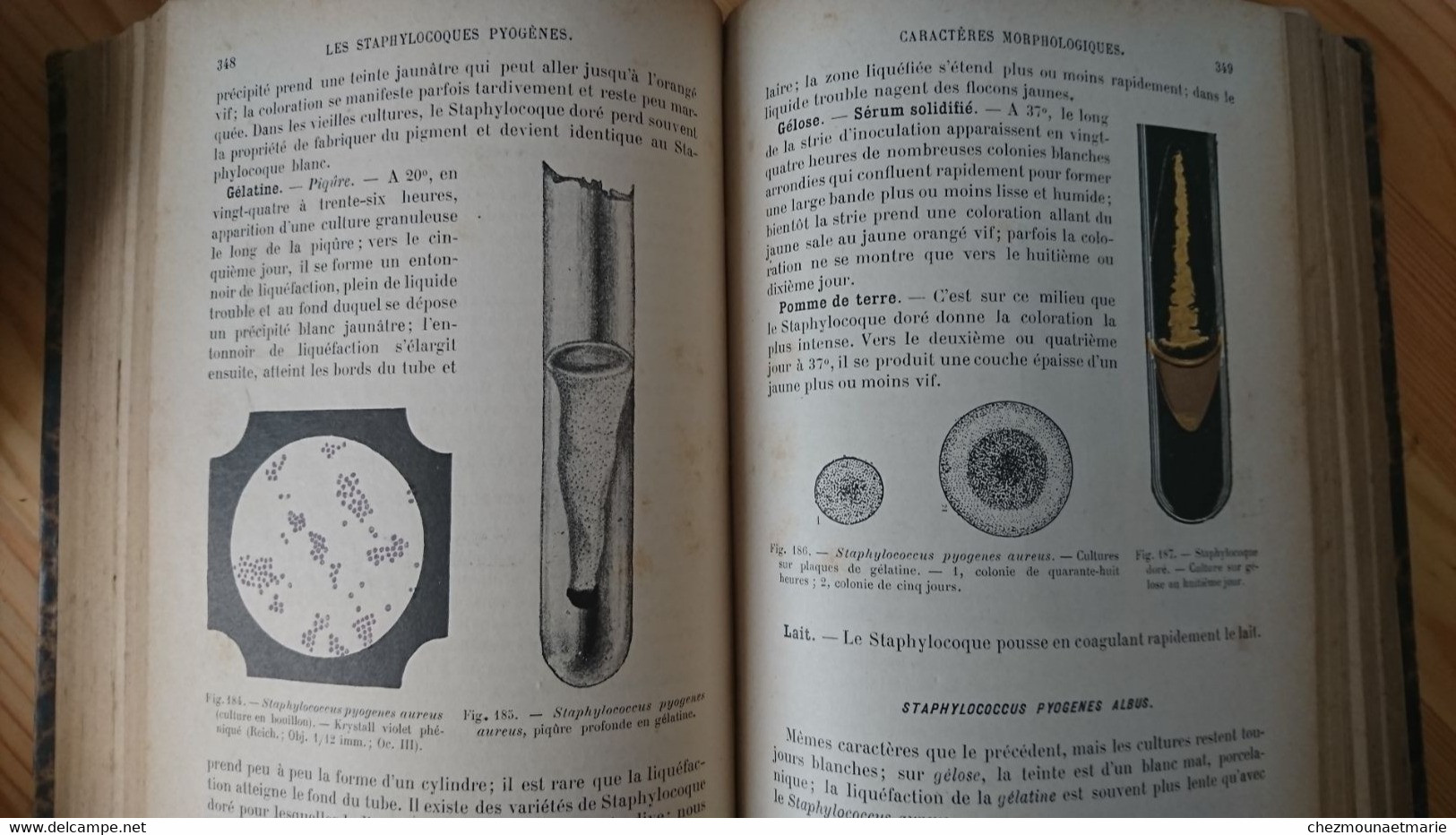 1904 BESSON TECHNIQUE MICROBIOLOGIQUE ET SEROTHERAPIQUE GUIDE MEDECIN ET VETERINAIRE - LIVRE