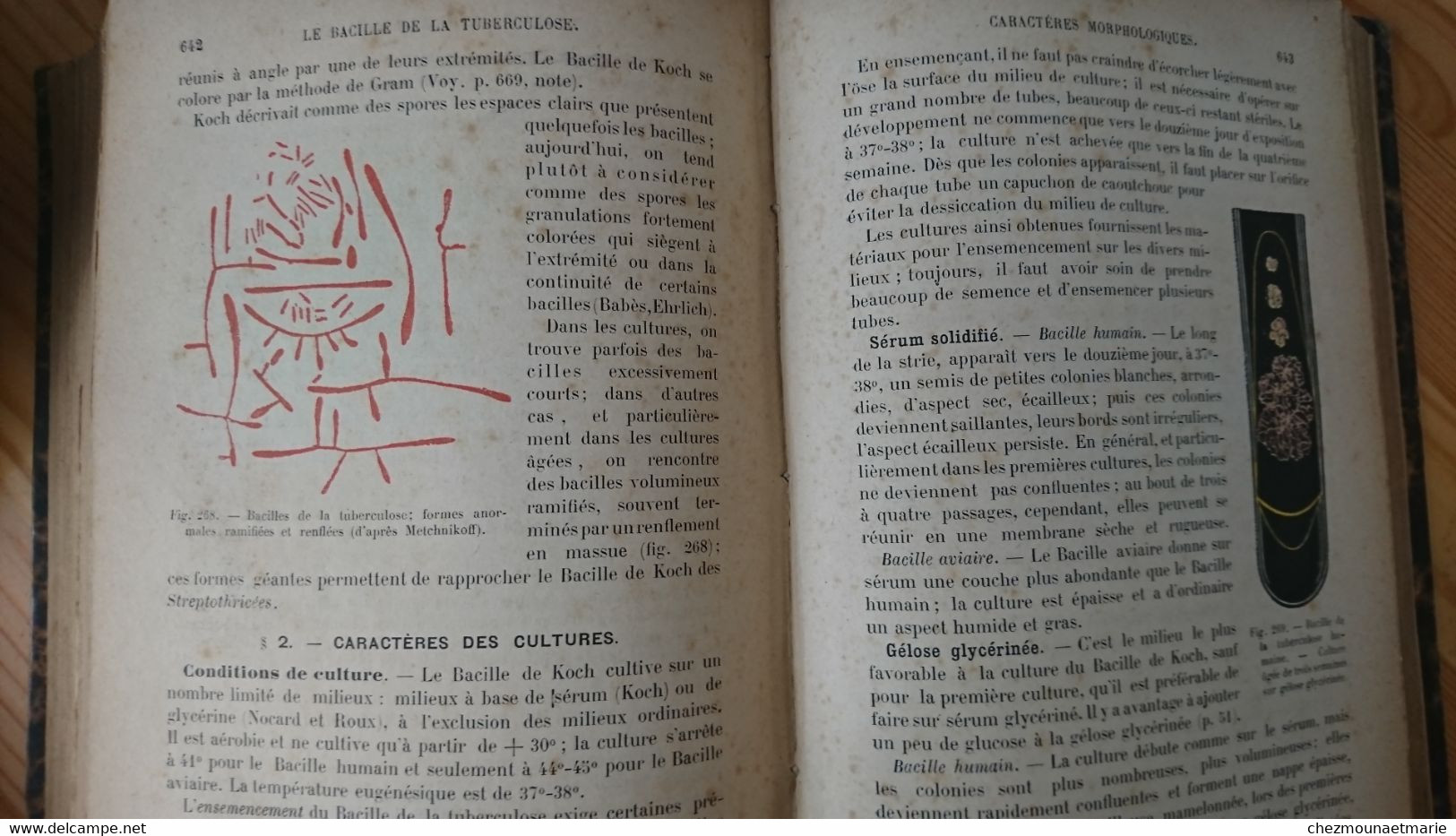 1904 BESSON TECHNIQUE MICROBIOLOGIQUE ET SEROTHERAPIQUE GUIDE MEDECIN ET VETERINAIRE - LIVRE