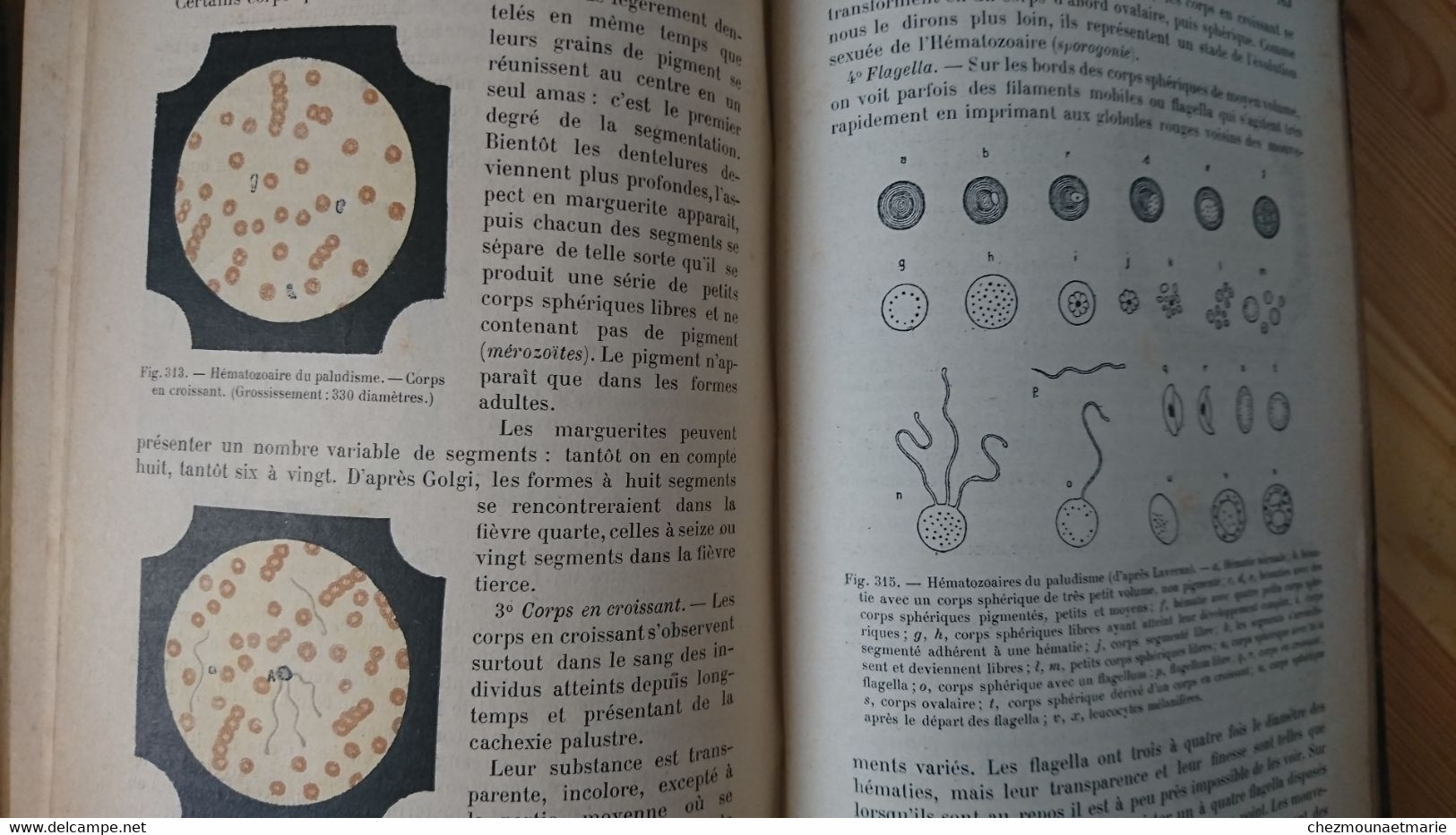 1904 BESSON TECHNIQUE MICROBIOLOGIQUE ET SEROTHERAPIQUE GUIDE MEDECIN ET VETERINAIRE - LIVRE